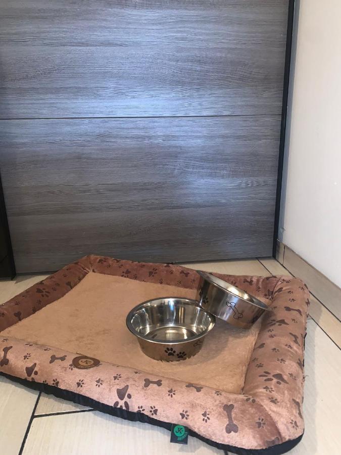 Kořenov Apartment Owl מראה חיצוני תמונה
