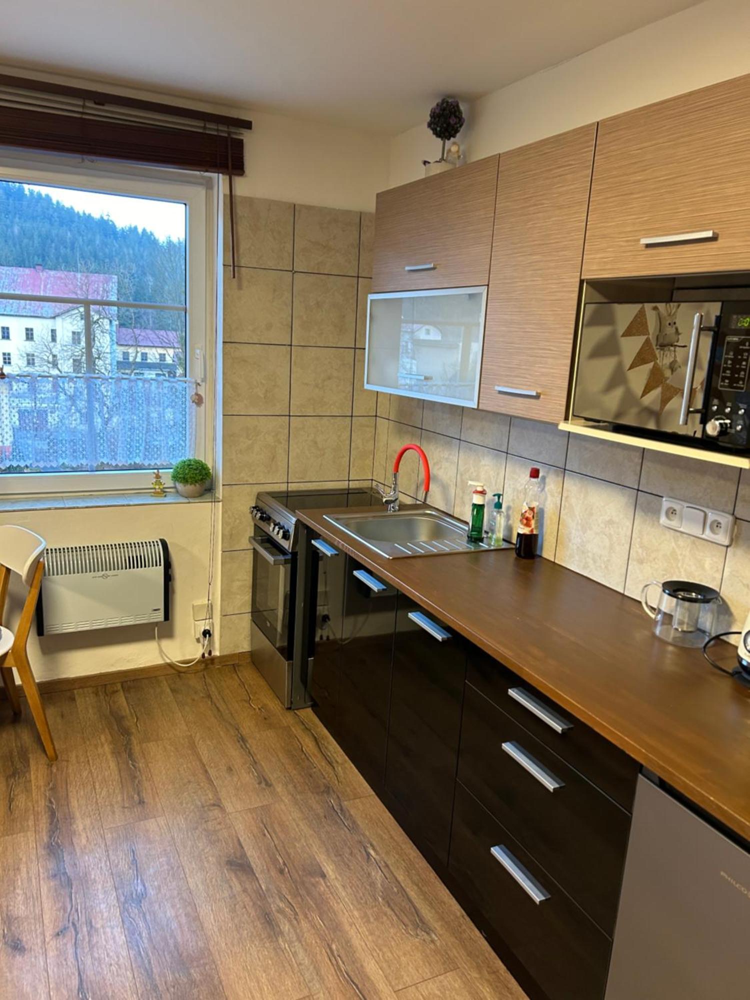 Kořenov Apartment Owl מראה חיצוני תמונה