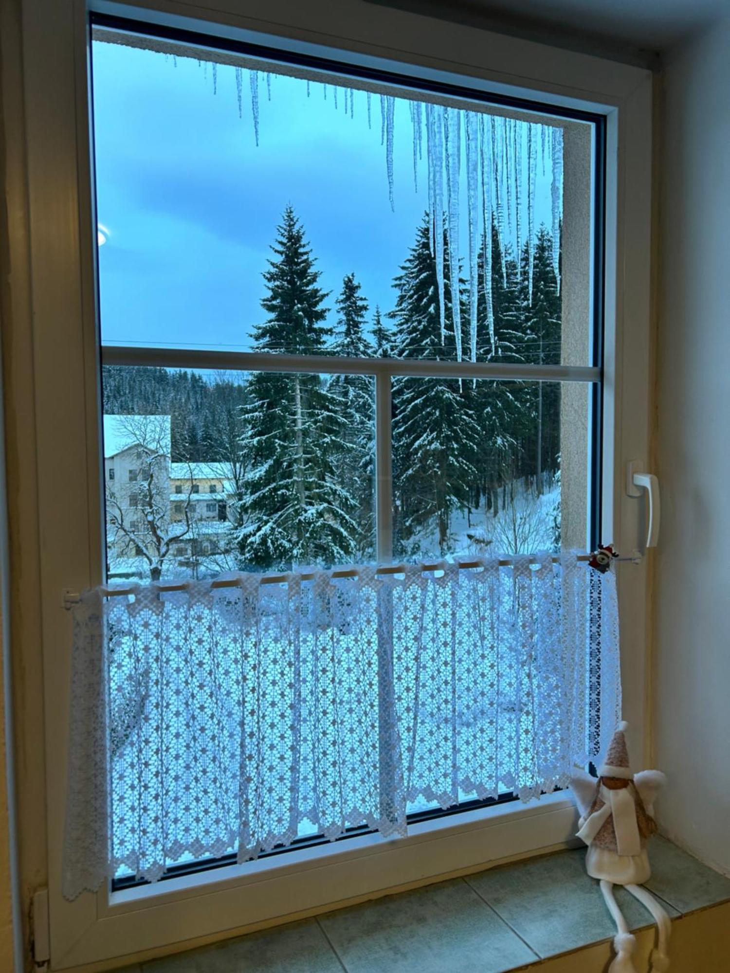 Kořenov Apartment Owl מראה חיצוני תמונה