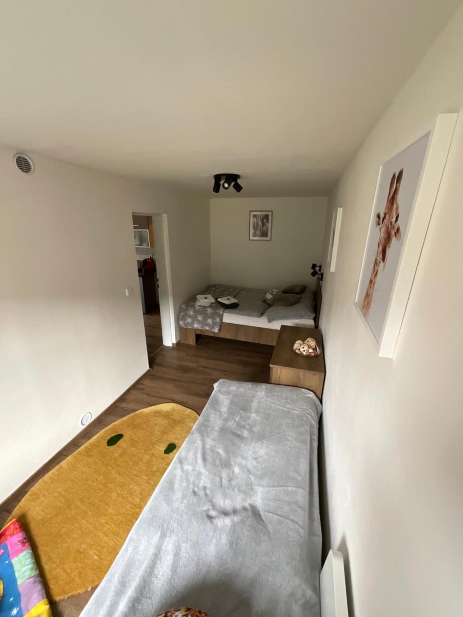 Kořenov Apartment Owl מראה חיצוני תמונה