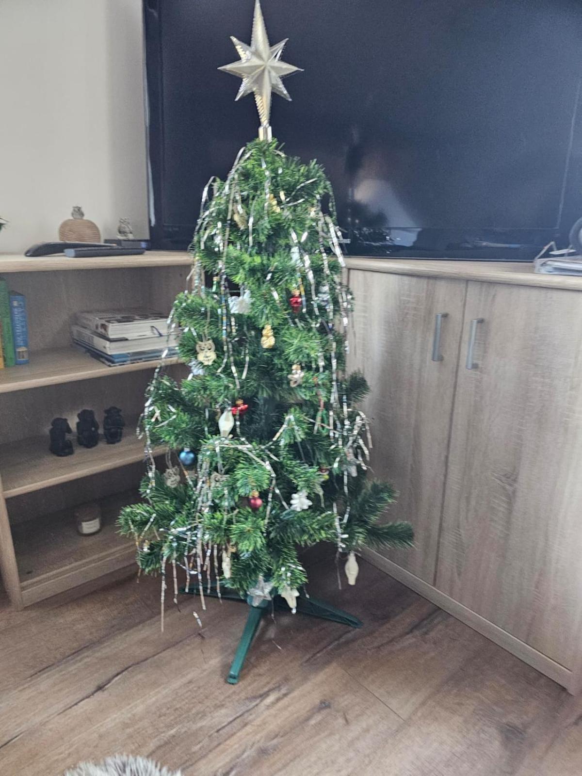 Kořenov Apartment Owl מראה חיצוני תמונה