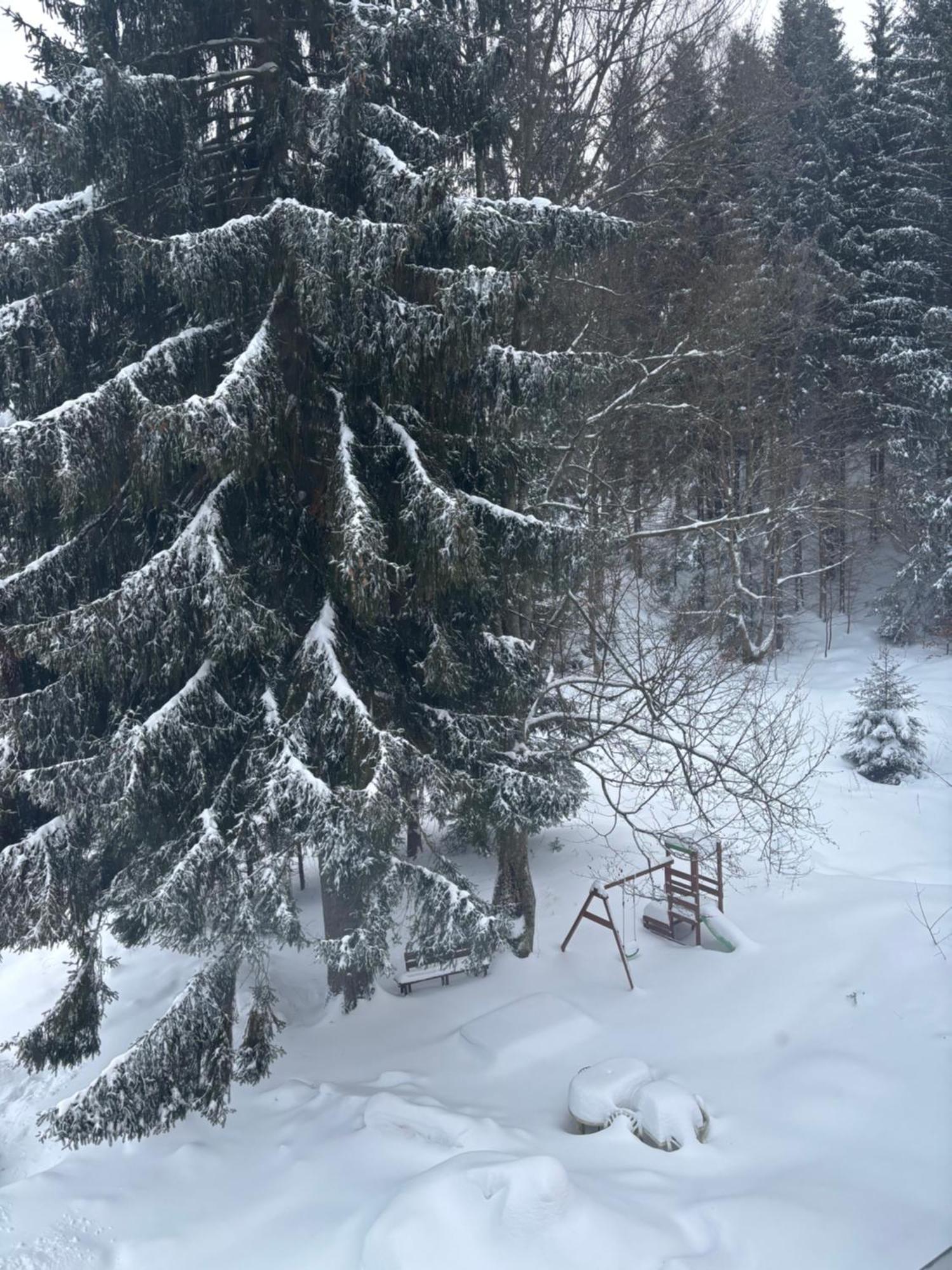 Kořenov Apartment Owl מראה חיצוני תמונה
